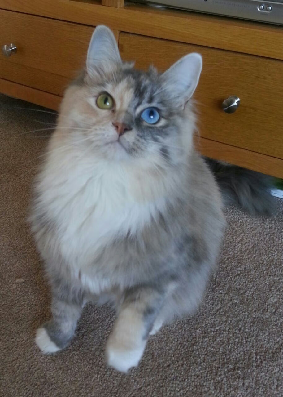 AYX官网-“牛仔3K亲子跑：从香港街头出发，亲子笑声满载”