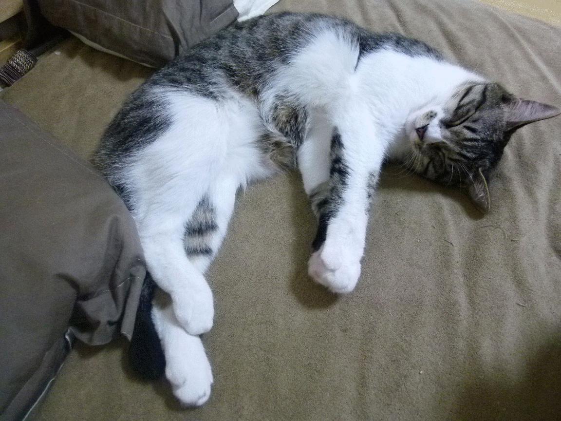 中超联赛中国女足复仇 球迷情绪爆棚，中超女足比赛