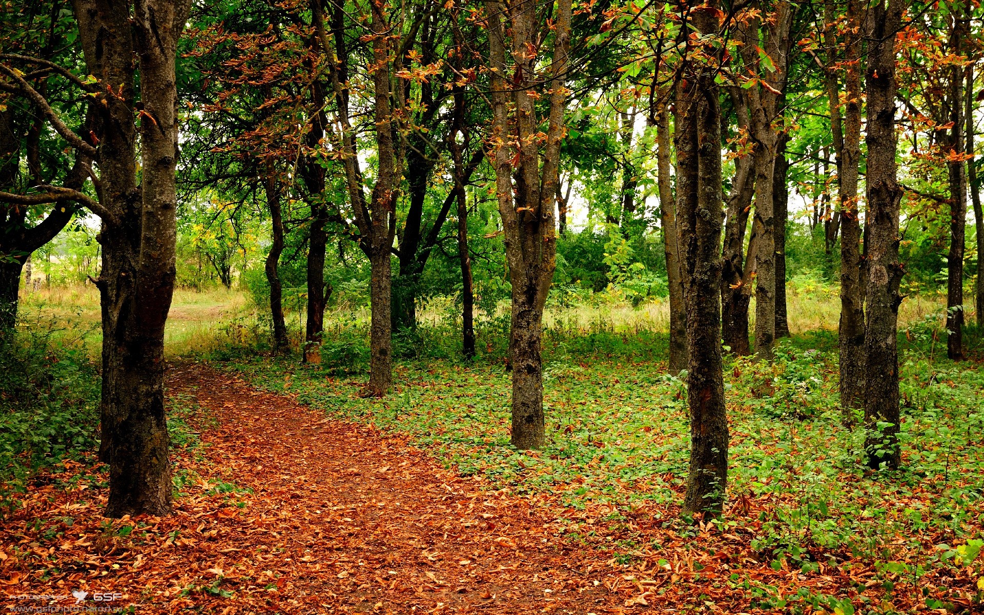 爱游戏娱乐-俱乐部转会制度未防范短期利益驱动