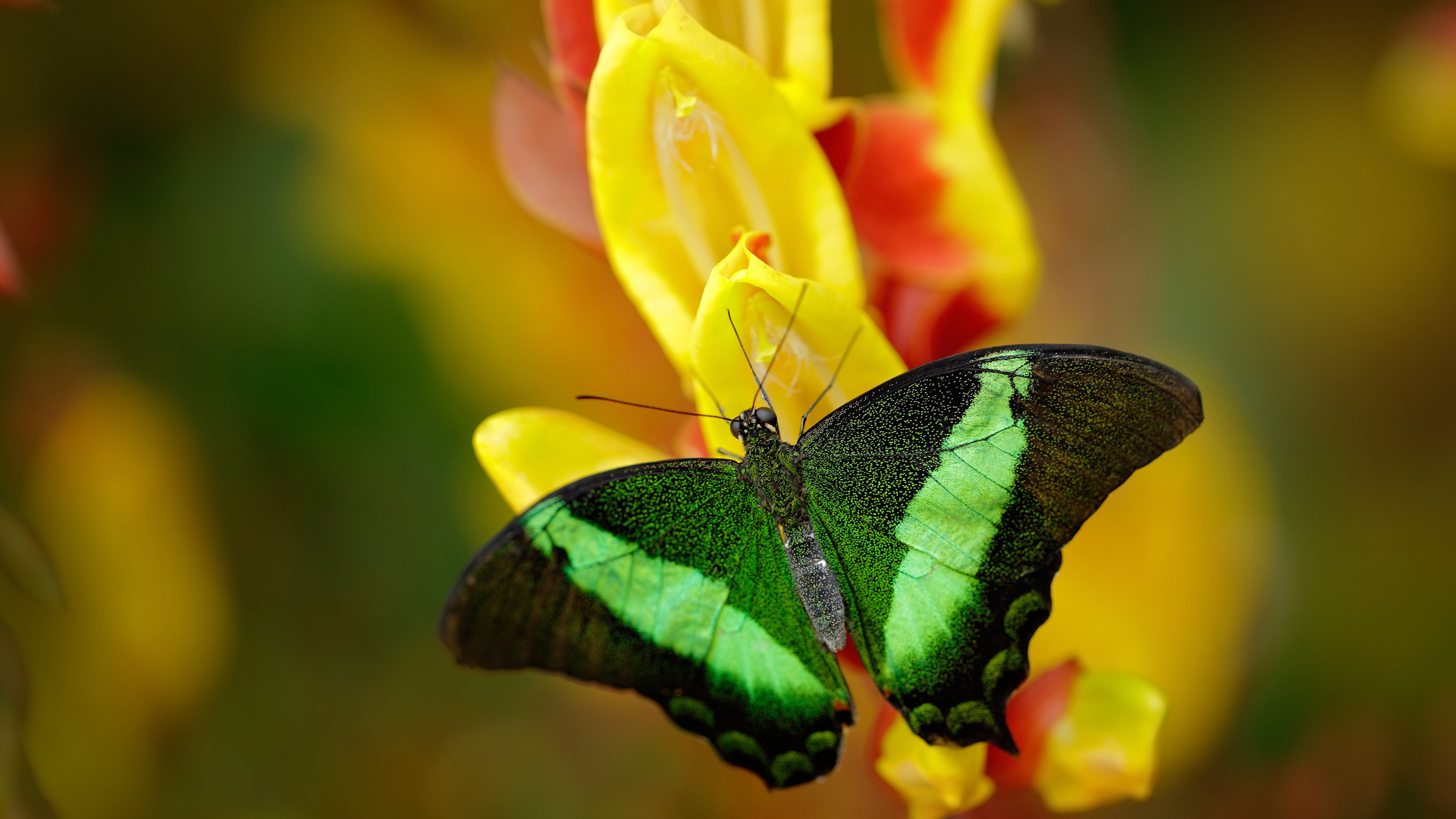 爱游戏app-中国足球职业俱乐部转会市场活动频繁，中国足球转会规定