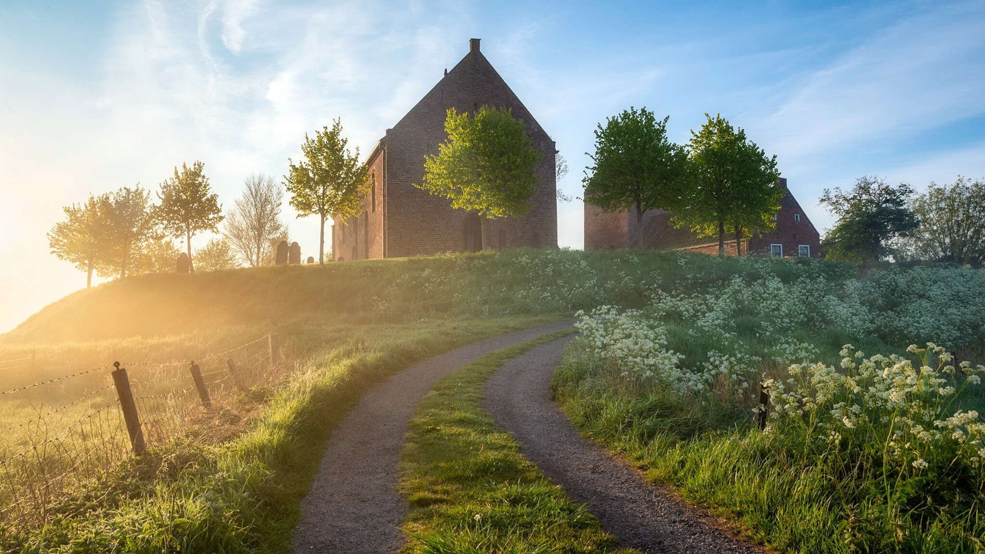 弗朗索瓦·霍尔茨豪伊泽：南非羚羊队的进攻发动机
