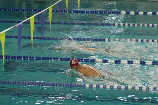 爱游戏电竞官网-张雨霏自由泳接力助队夺冠，张雨霏自由泳接力助队夺冠了吗