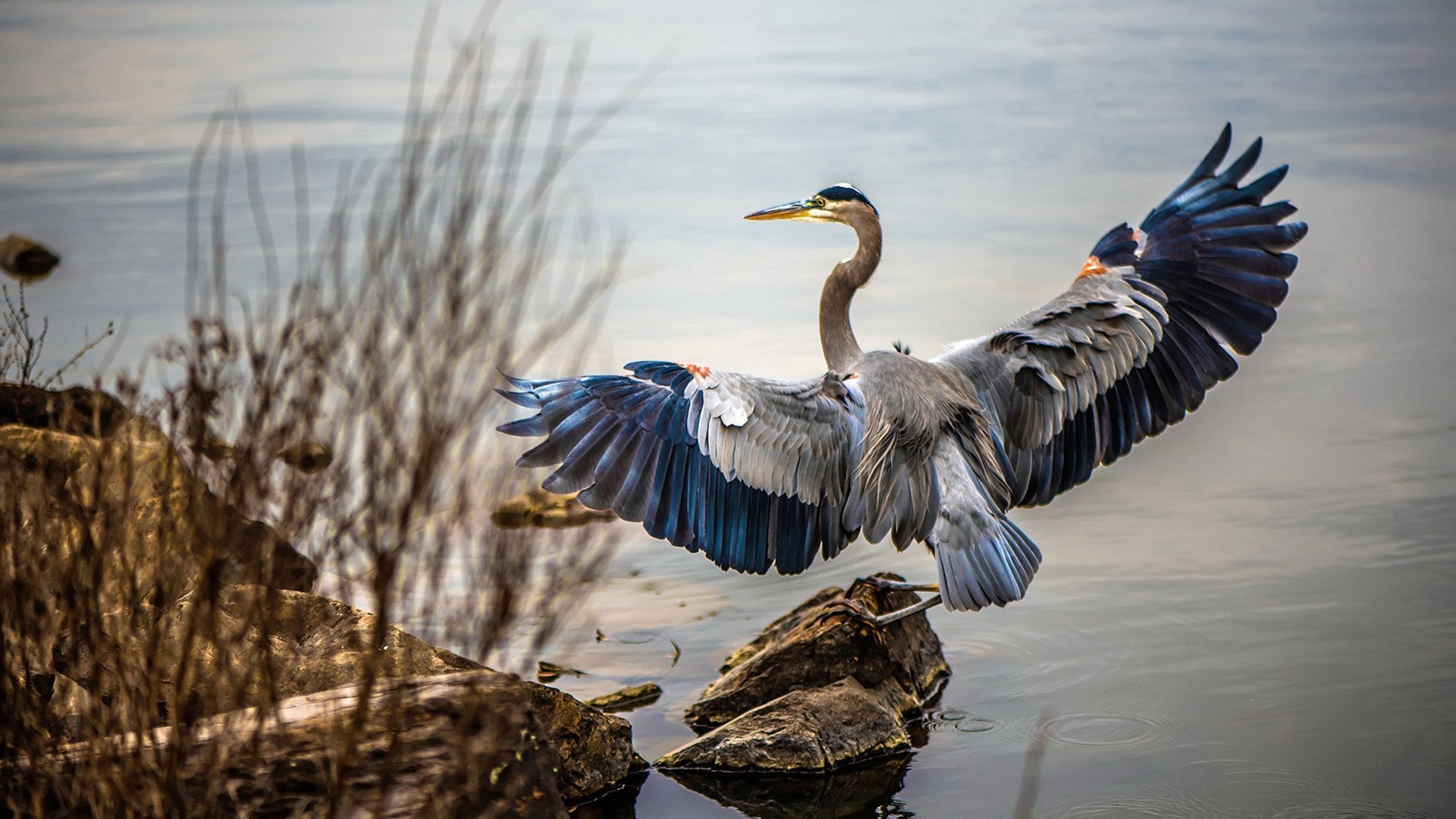 爱游戏中国官方登录入口网站-中国 basketball 联赛常规赛与季后赛策略差别实证研究，basketball比赛